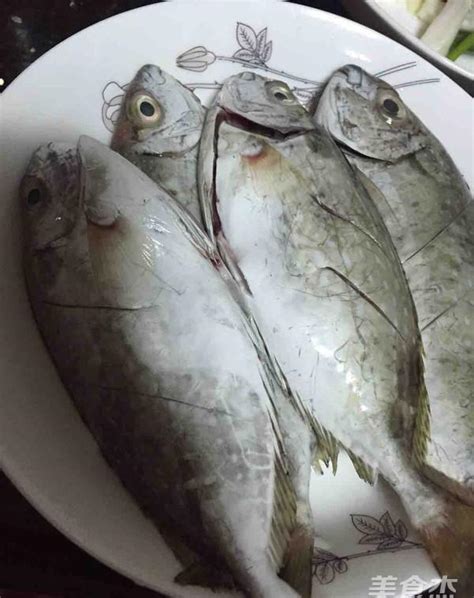 什麼魚|最常見的50種食用魚，別再說你不認識，好好看看，你。